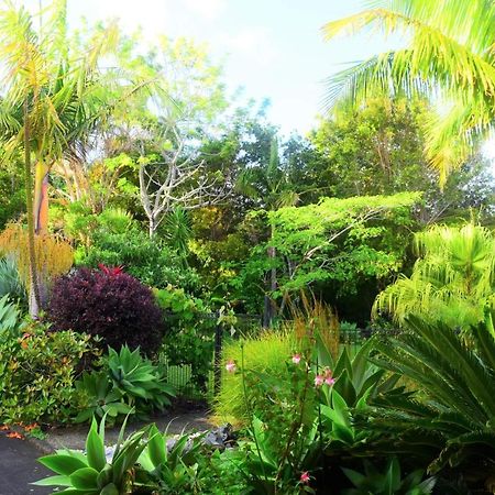 Bed and Breakfast Harbour View Retreat Mangonui Exterior foto