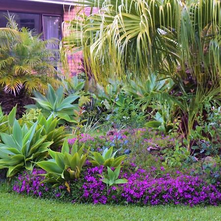 Bed and Breakfast Harbour View Retreat Mangonui Exterior foto