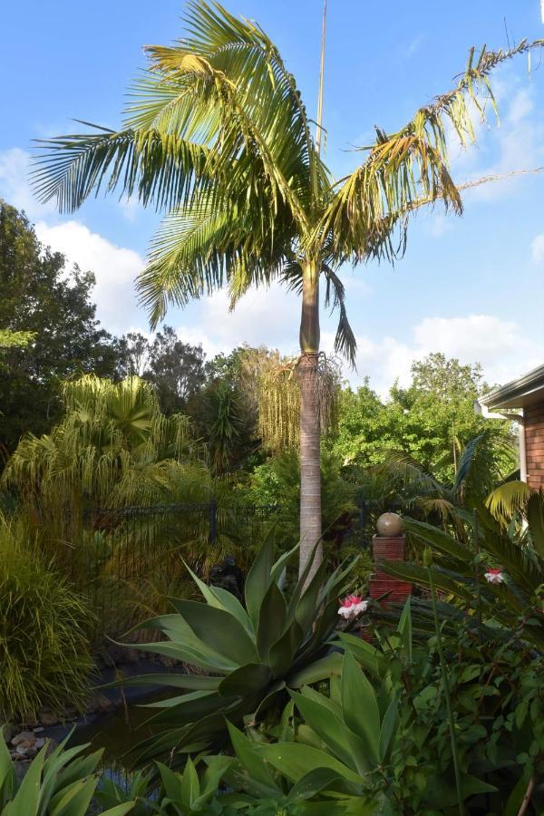 Bed and Breakfast Harbour View Retreat Mangonui Exterior foto